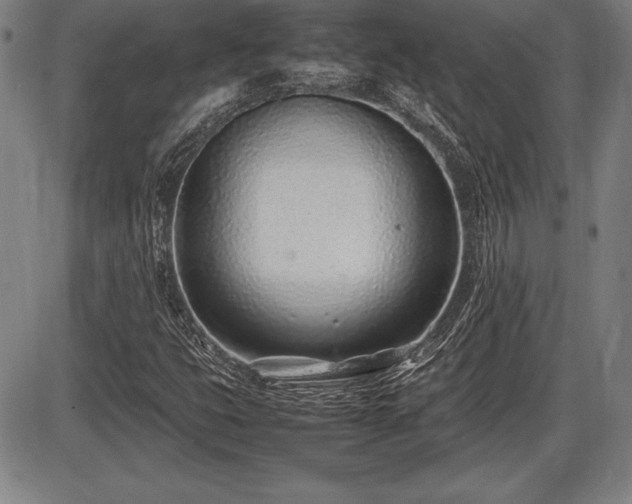 X0000086231399200703291317