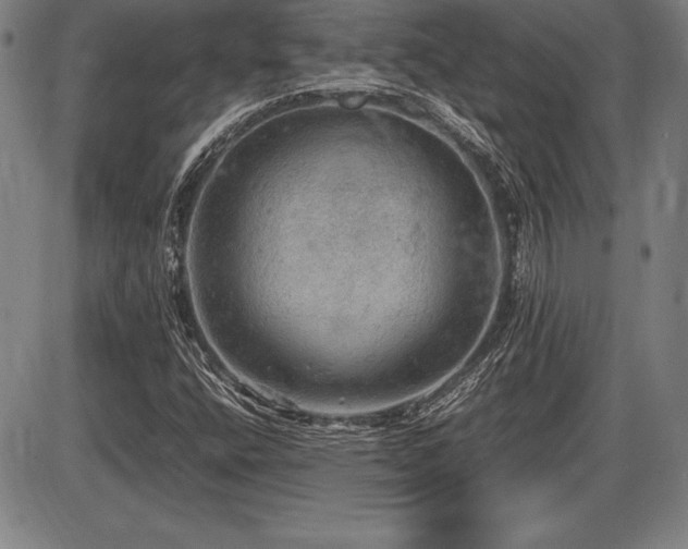 X0000086231400200703291317