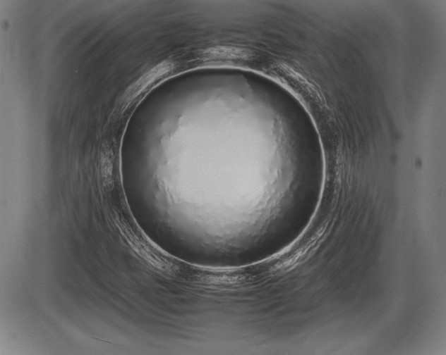 X0000086231401200703291317