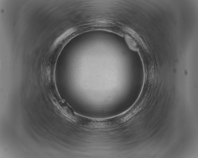 X0000086231402200703291317