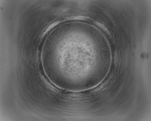 X0000086231404200703291317