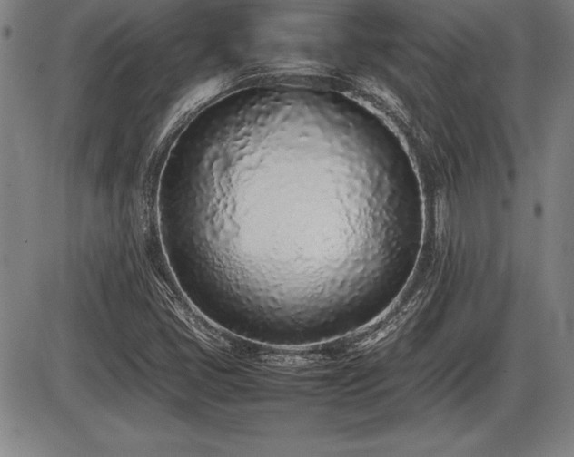 X0000086231405200703291317