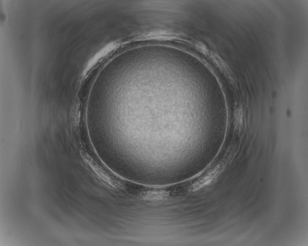 X0000086231406200703291317