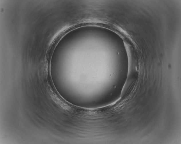 X0000086231408200703291318