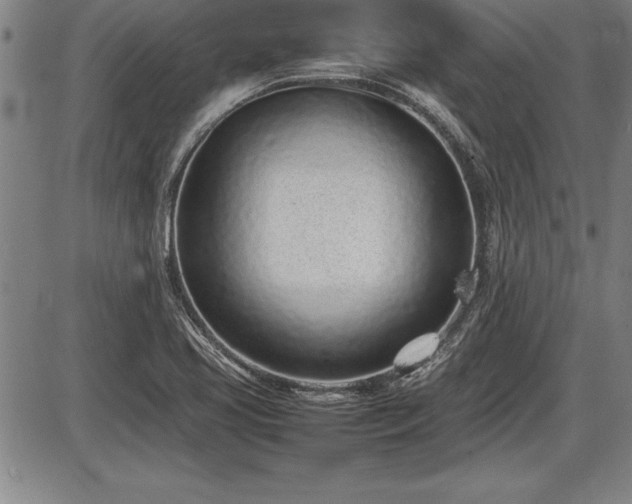 X0000086231413200703291318