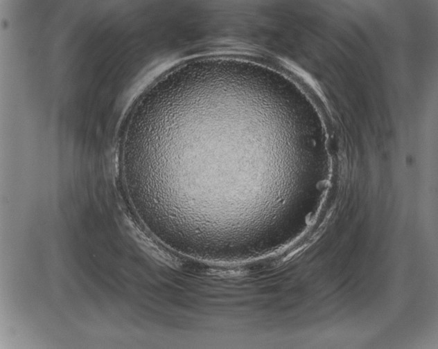 X0000086231415200703291318