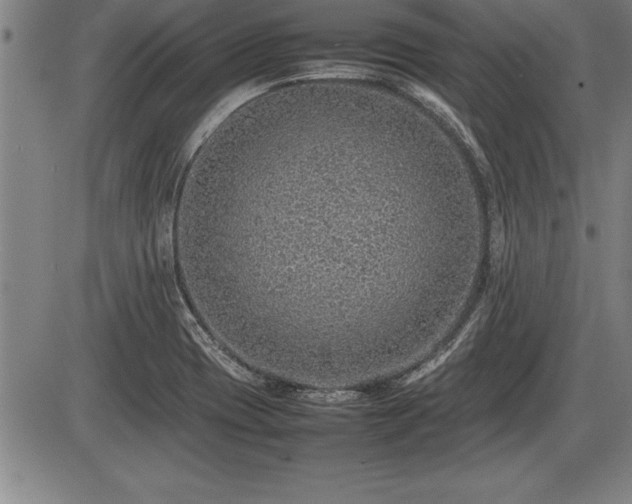 X0000086231417200703291318