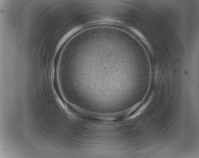 X0000086231418200703291318