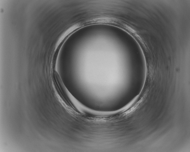 X0000086231426200703291318