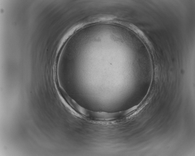 X0000086231432200703291318