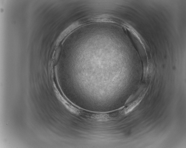 X0000086231434200703291318