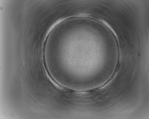 X0000086231437200703291318