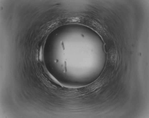 X0000086231442200703291317