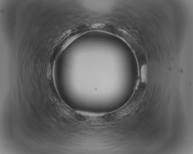 X0000086231443200703291317