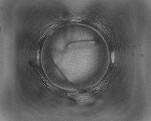 X0000086231444200703291317