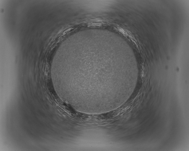 X0000086231445200703291317