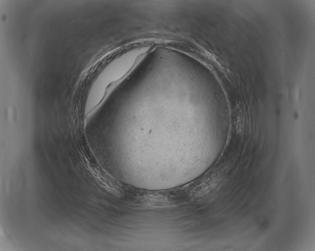 X0000086231448200703291317
