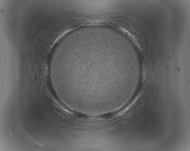 X0000086231449200703291317
