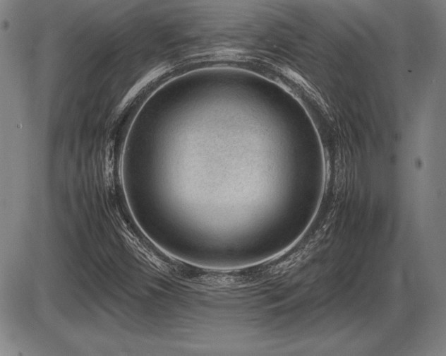 X0000086231450200703291317