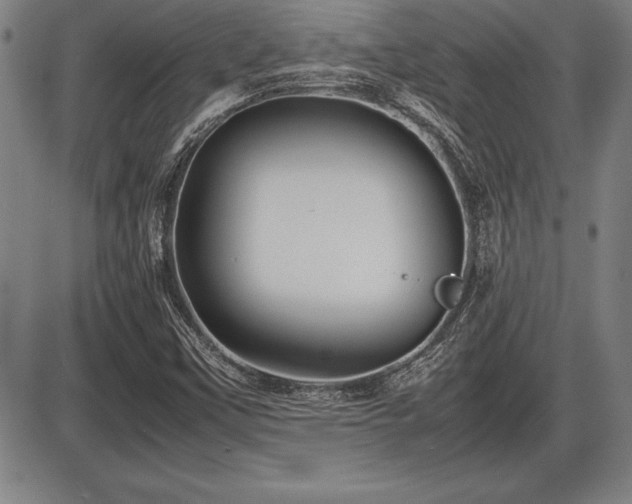 X0000086231451200703291317