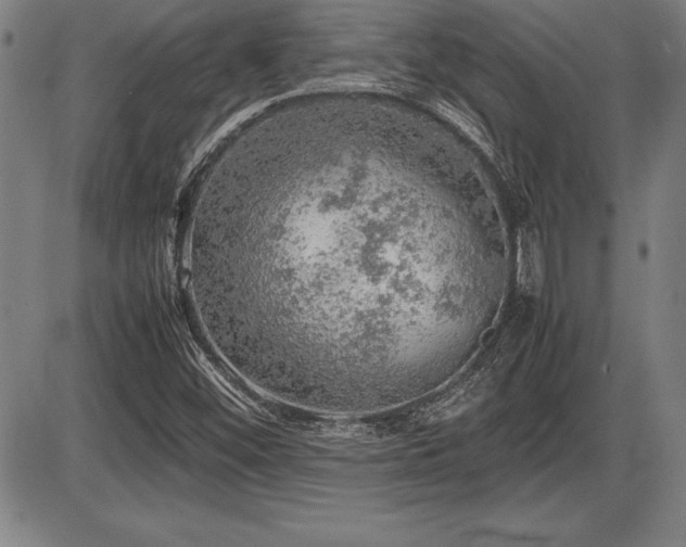 X0000086231452200703291317