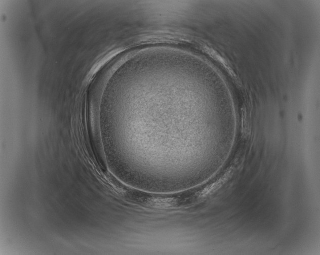 X0000086231453200703291317