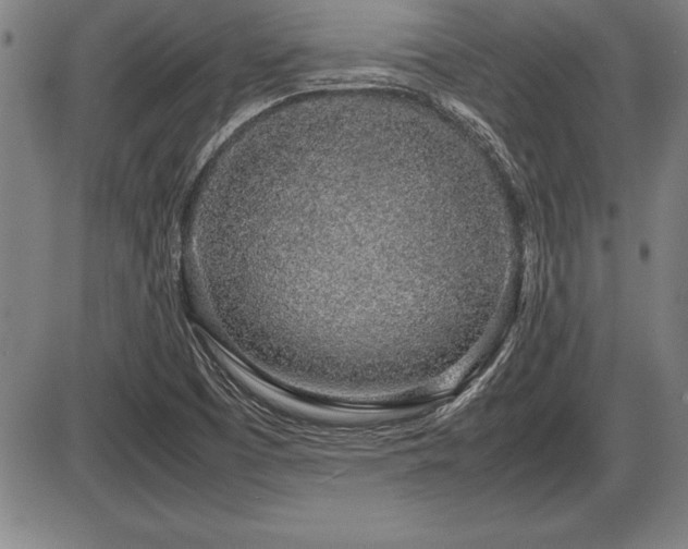 X0000086231457200703291317