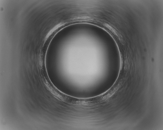 X0000086231458200703291317