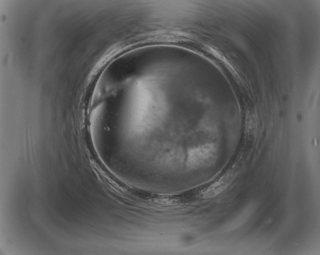 X0000086231459200703291317