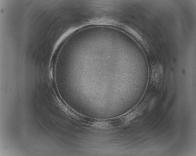 X0000086231462200703291317