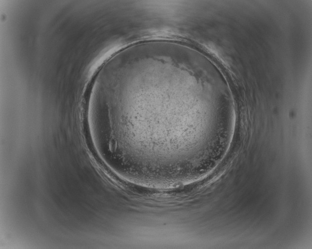 X0000086231463200703291317