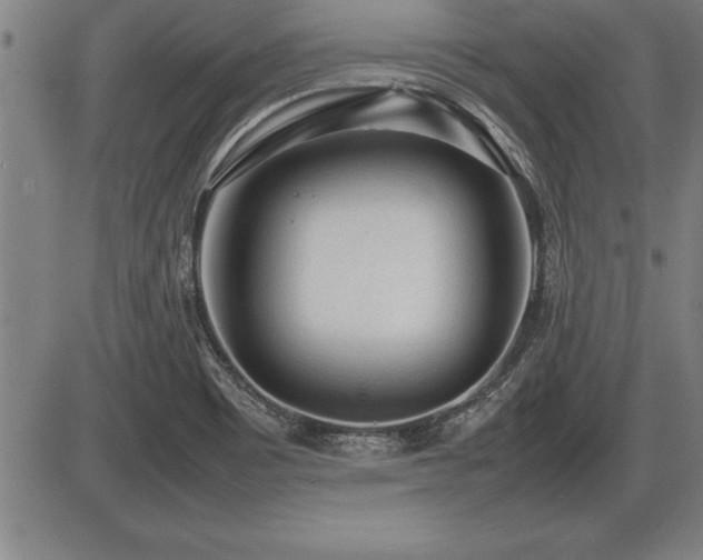 X0000086231465200703291317
