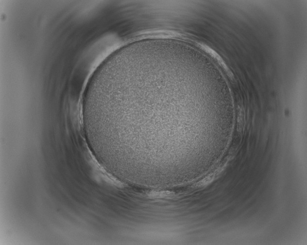 X0000086231466200703291317