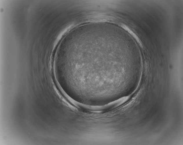 X0000086231477200703291317