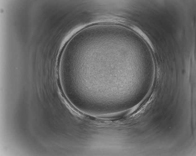 X0000086231485200703291317