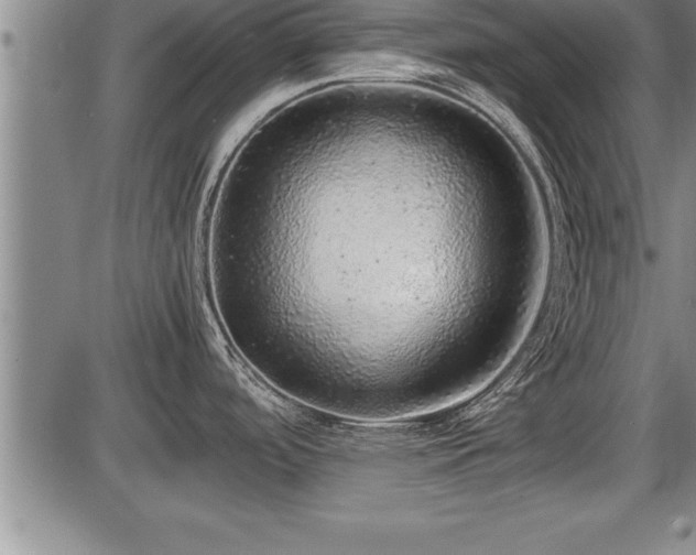 X0000086231488200703291316
