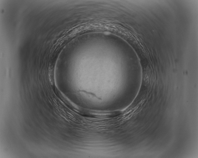 X0000086231490200703291316