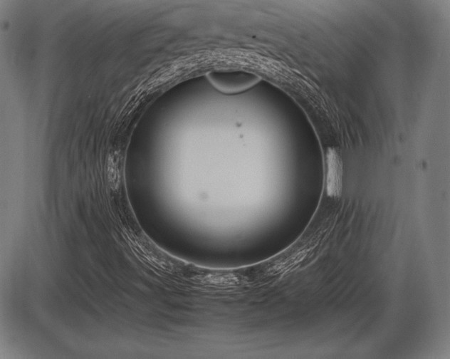 X0000086231491200703291316