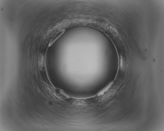 X0000086231492200703291316