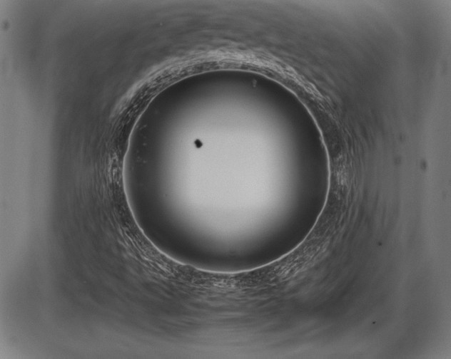 X0000086231495200703291316