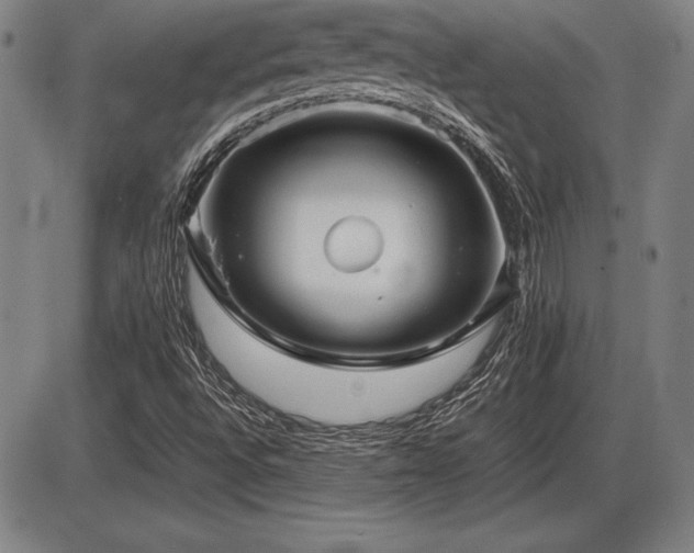 X0000086231496200703291316