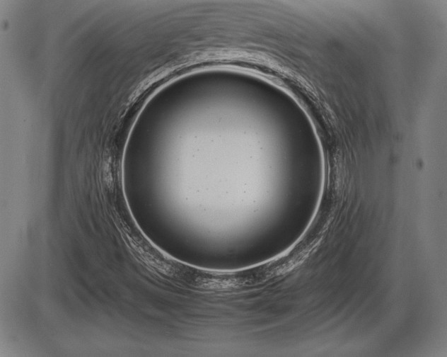 X0000086231497200703291316