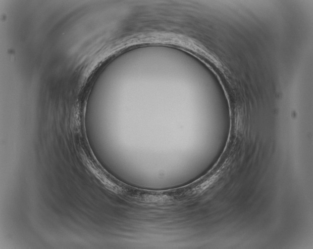 X0000086231498200703291316