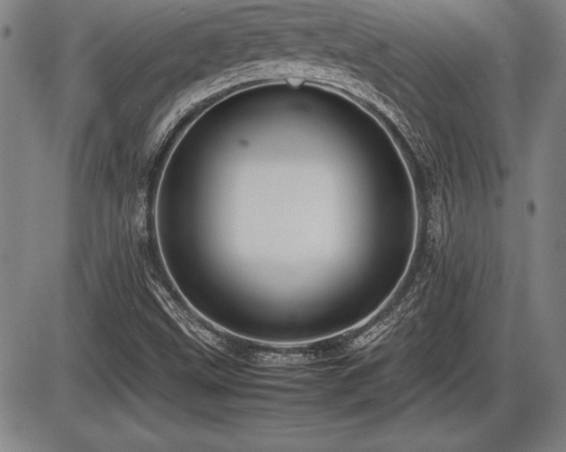 X0000086231499200703291316