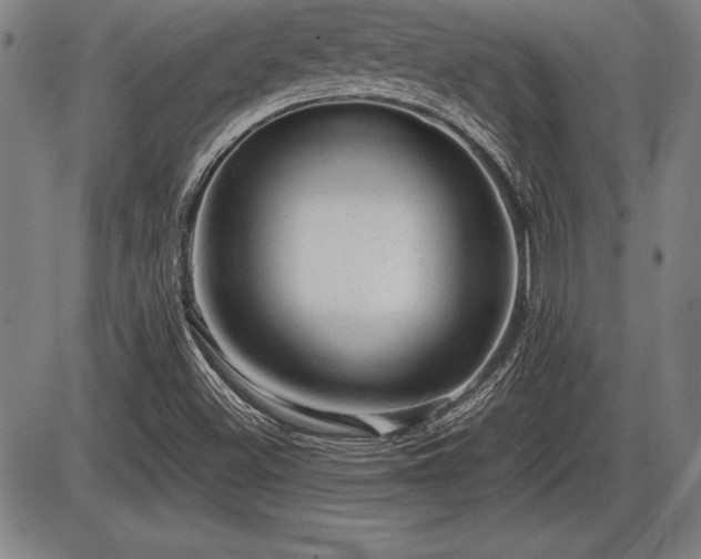 X0000086231500200703291316