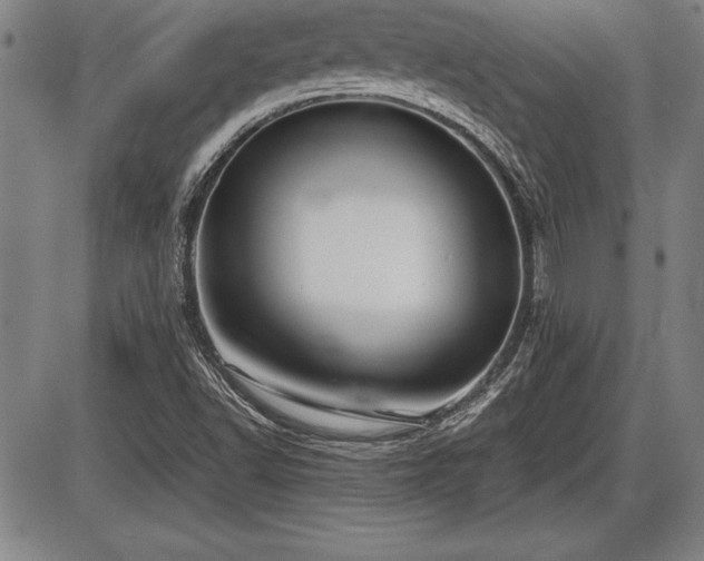 X0000086231502200703291316