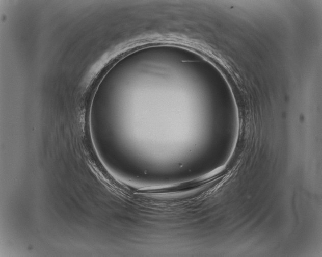 X0000086231503200703291316