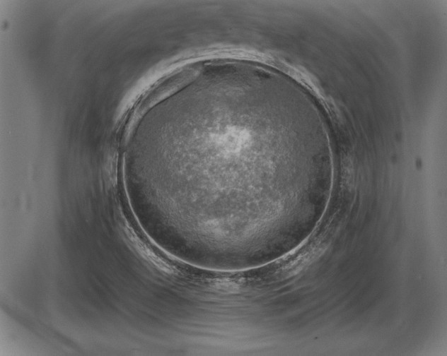 X0000086231504200703291316