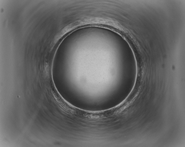X0000086231505200703291316