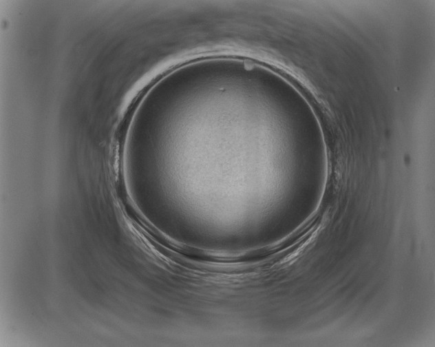 X0000086231510200703291316
